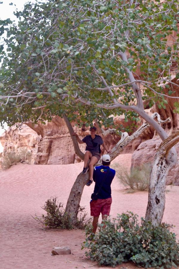 Nature Star Camp Hotel Wadi Rum Luaran gambar